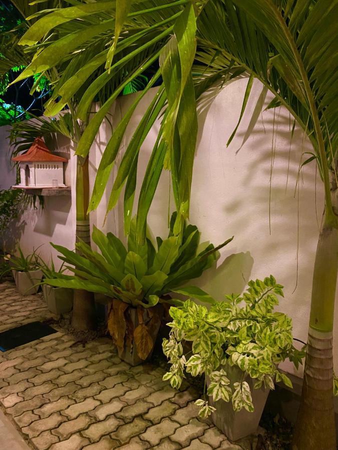 Guesthouse Bodensee 希克杜沃 外观 照片