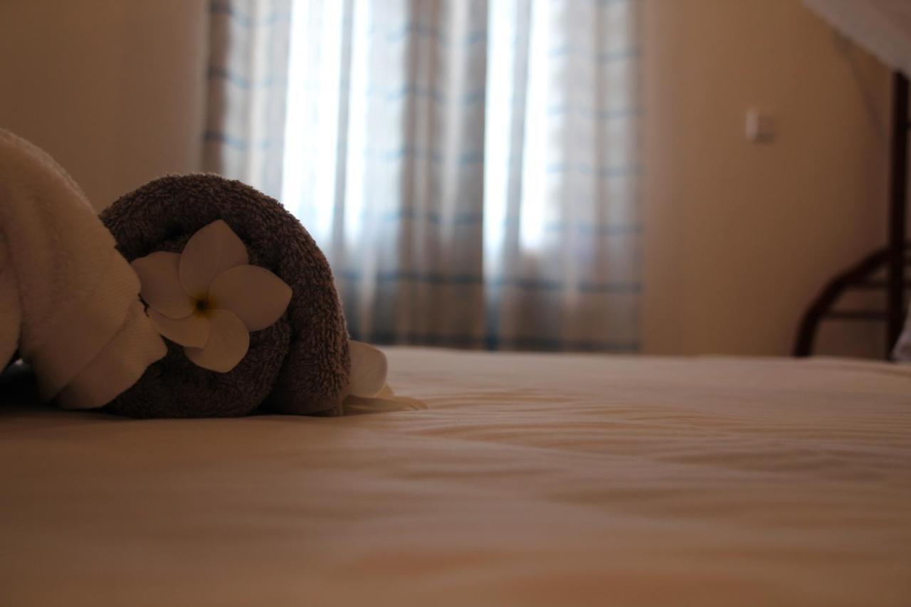 Guesthouse Bodensee 希克杜沃 外观 照片